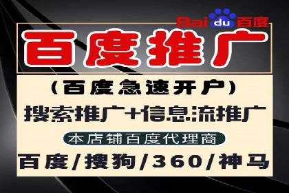 百度推广的投放策略与效果分析